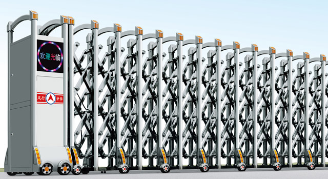 ���P���s�T������̖